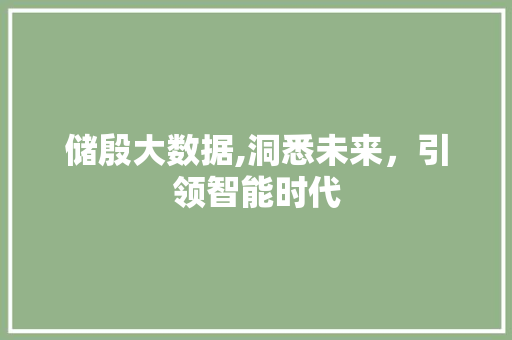 储殷大数据,洞悉未来，引领智能时代