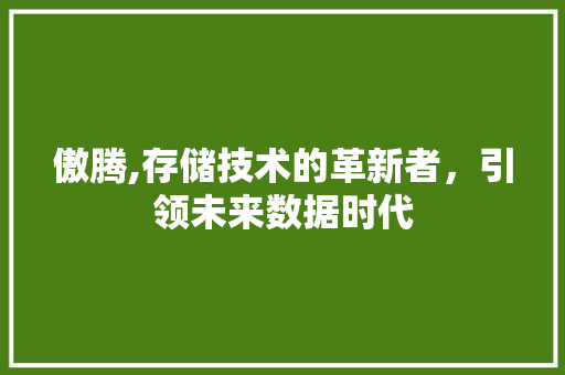 傲腾,存储技术的革新者，引领未来数据时代