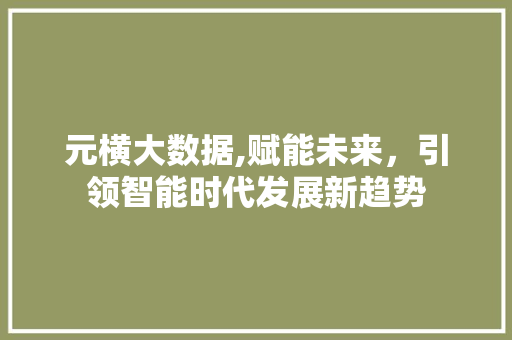 元横大数据,赋能未来，引领智能时代发展新趋势