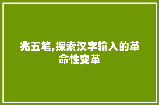 兆五笔,探索汉字输入的革命性变革