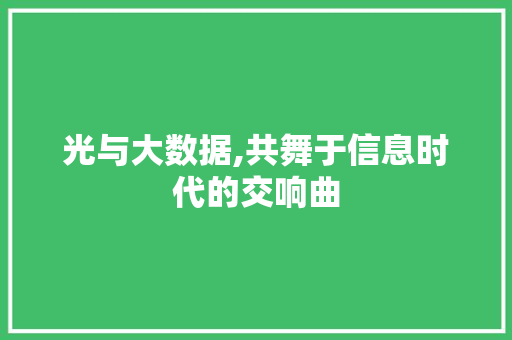 光与大数据,共舞于信息时代的交响曲