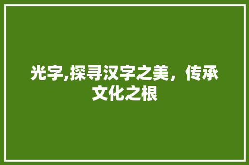 光字,探寻汉字之美，传承文化之根