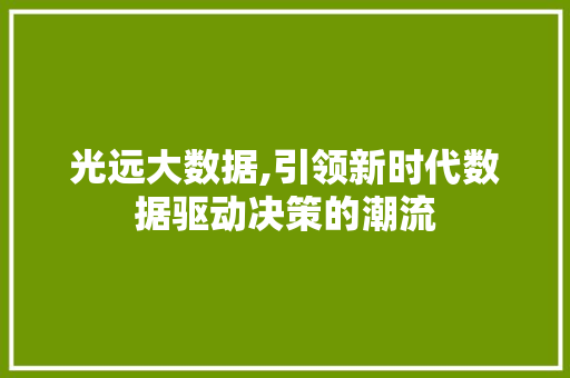 光远大数据,引领新时代数据驱动决策的潮流