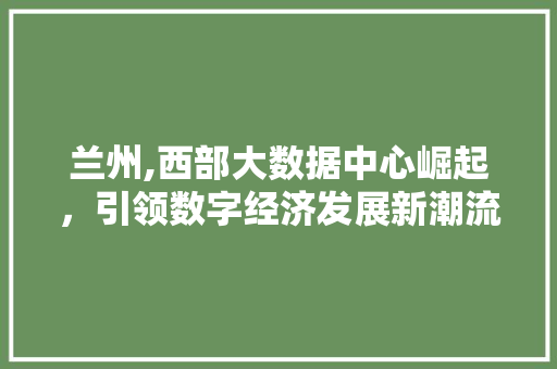 兰州,西部大数据中心崛起，引领数字经济发展新潮流