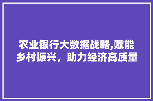 农业银行大数据战略,赋能乡村振兴，助力经济高质量发展