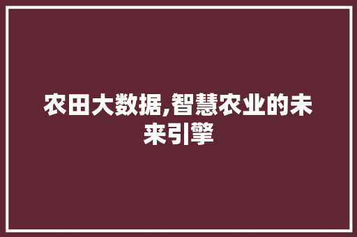 农田大数据,智慧农业的未来引擎