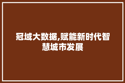 冠域大数据,赋能新时代智慧城市发展