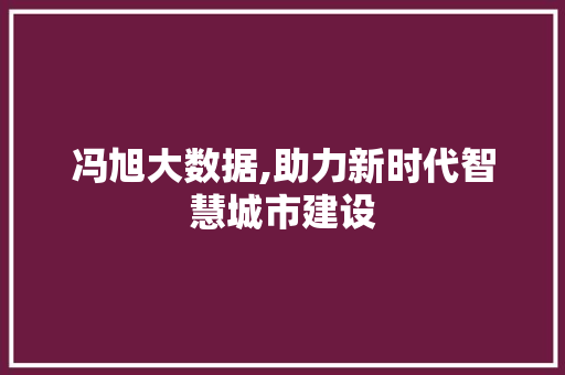 冯旭大数据,助力新时代智慧城市建设