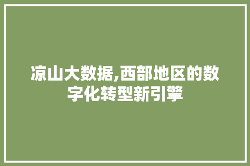 凉山大数据,西部地区的数字化转型新引擎