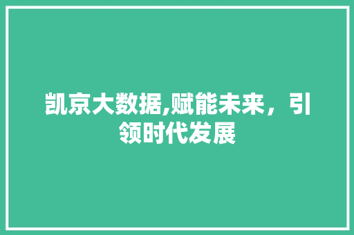 凯京大数据,赋能未来，引领时代发展