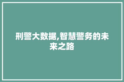 刑警大数据,智慧警务的未来之路