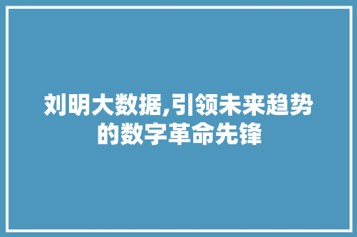 刘明大数据,引领未来趋势的数字革命先锋