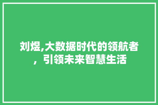 刘煜,大数据时代的领航者，引领未来智慧生活