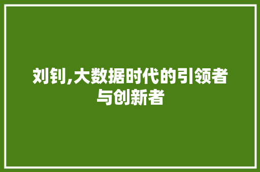 刘钊,大数据时代的引领者与创新者