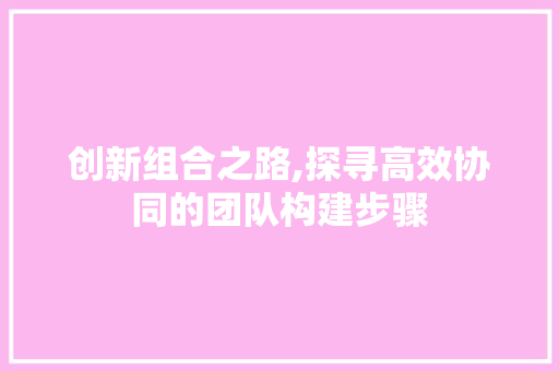 创新组合之路,探寻高效协同的团队构建步骤