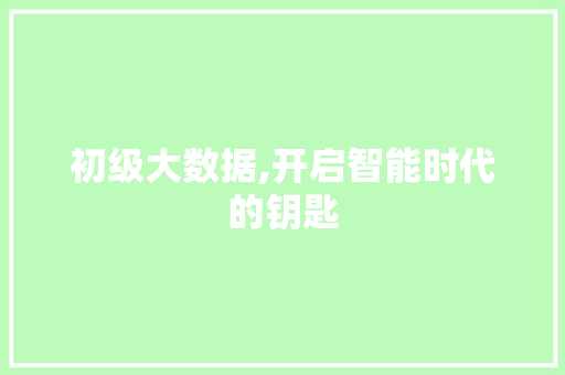 初级大数据,开启智能时代的钥匙