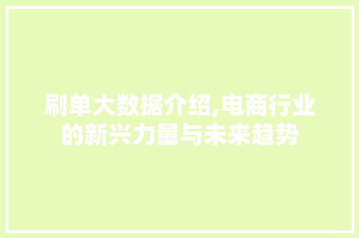 刷单大数据介绍,电商行业的新兴力量与未来趋势