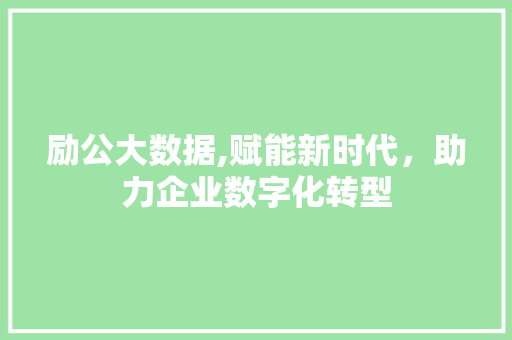 励公大数据,赋能新时代，助力企业数字化转型