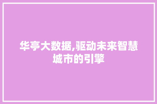 华亭大数据,驱动未来智慧城市的引擎