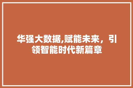 华强大数据,赋能未来，引领智能时代新篇章