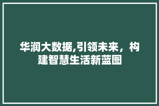 华润大数据,引领未来，构建智慧生活新蓝图