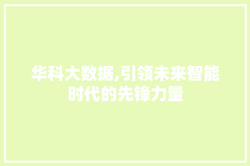 华科大数据,引领未来智能时代的先锋力量