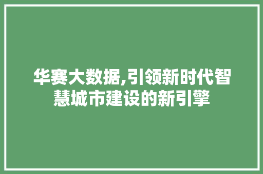 华赛大数据,引领新时代智慧城市建设的新引擎