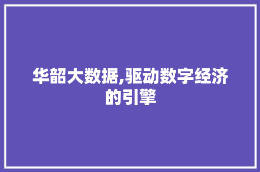 华韶大数据,驱动数字经济的引擎