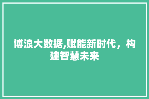 博浪大数据,赋能新时代，构建智慧未来