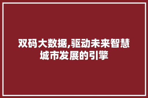 双码大数据,驱动未来智慧城市发展的引擎