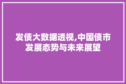 发债大数据透视,中国债市发展态势与未来展望