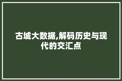 古城大数据,解码历史与现代的交汇点