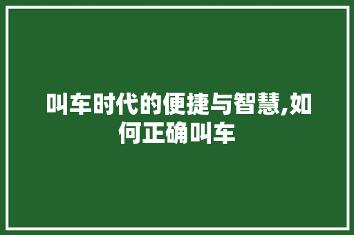 叫车时代的便捷与智慧,如何正确叫车