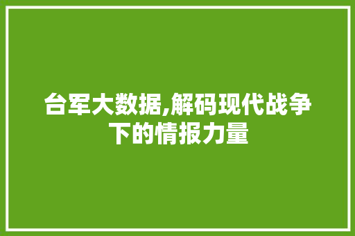 台军大数据,解码现代战争下的情报力量