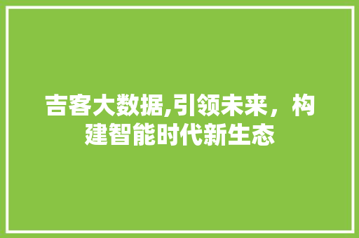 吉客大数据,引领未来，构建智能时代新生态