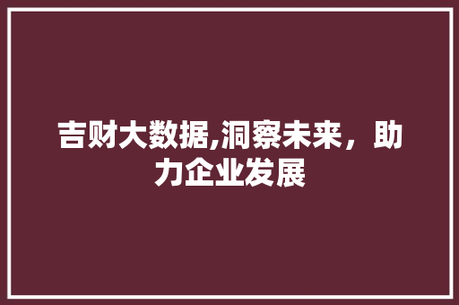 吉财大数据,洞察未来，助力企业发展