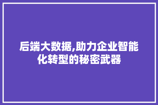 后端大数据,助力企业智能化转型的秘密武器