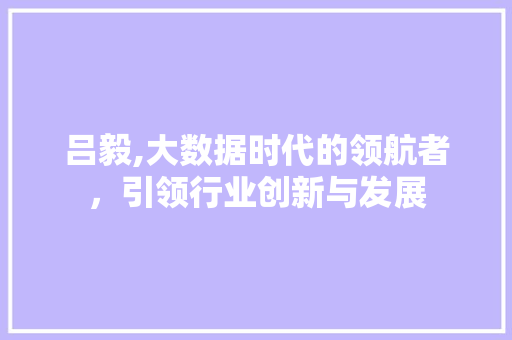 吕毅,大数据时代的领航者，引领行业创新与发展