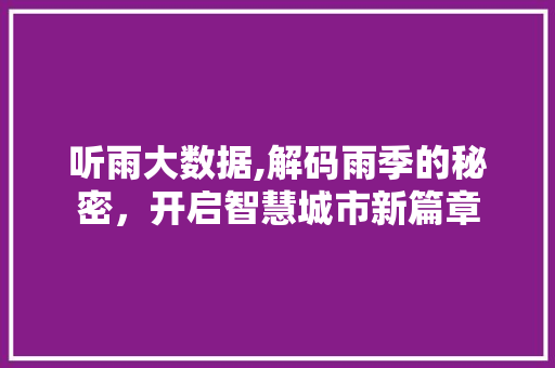 听雨大数据,解码雨季的秘密，开启智慧城市新篇章