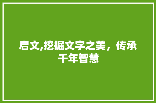 启文,挖掘文字之美，传承千年智慧