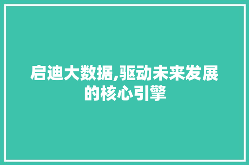 启迪大数据,驱动未来发展的核心引擎