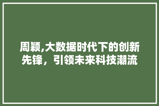 周颖,大数据时代下的创新先锋，引领未来科技潮流