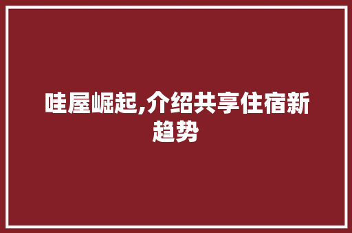 哇屋崛起,介绍共享住宿新趋势