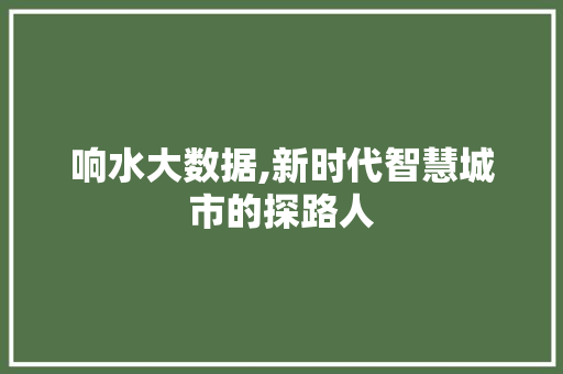 响水大数据,新时代智慧城市的探路人