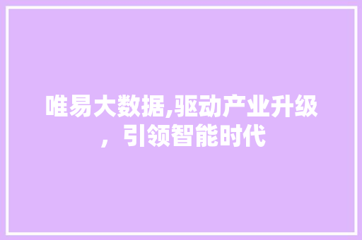 唯易大数据,驱动产业升级，引领智能时代