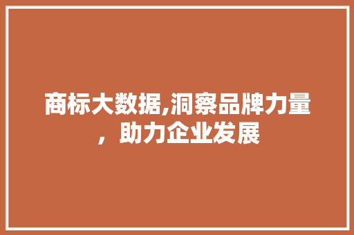 商标大数据,洞察品牌力量，助力企业发展