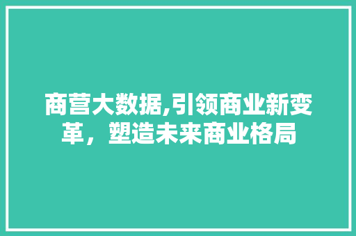 商营大数据,引领商业新变革，塑造未来商业格局