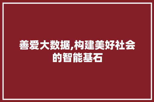 善爱大数据,构建美好社会的智能基石