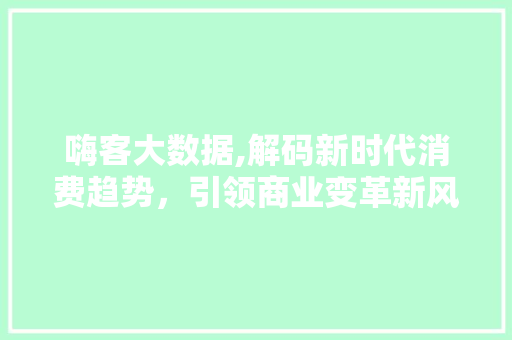 嗨客大数据,解码新时代消费趋势，引领商业变革新风向