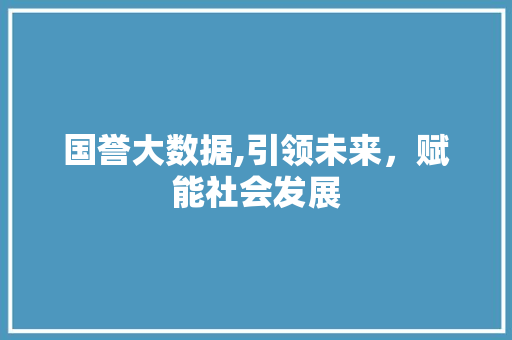 国誉大数据,引领未来，赋能社会发展